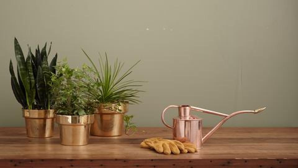 Interieur advies styling woonaccessoires Beurs Eigen Huis