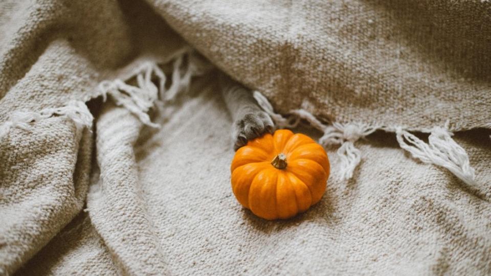 Sfeer droomhuis verlichting Beurs Eigen Huis