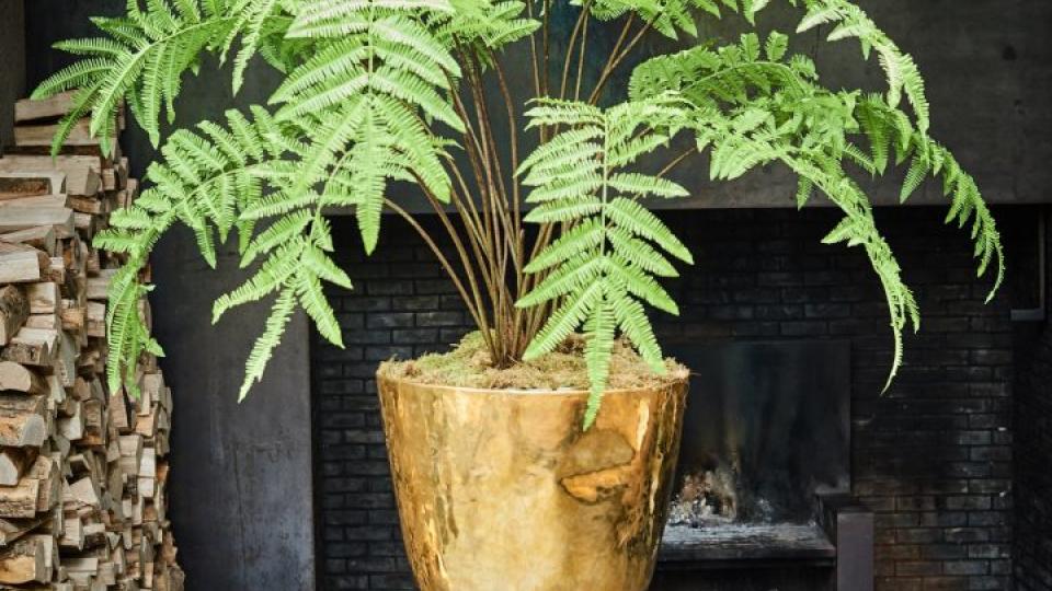 Plant kunstplant droomhuis interieur tips Beurs Eigen Huis