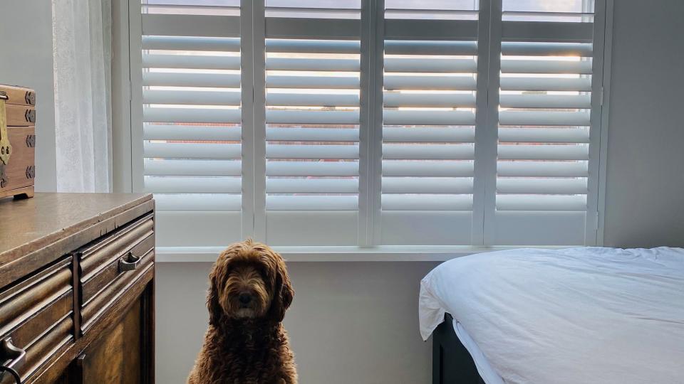 Shutters raambekleding interieur droomhuis Beurs Eigen Huis