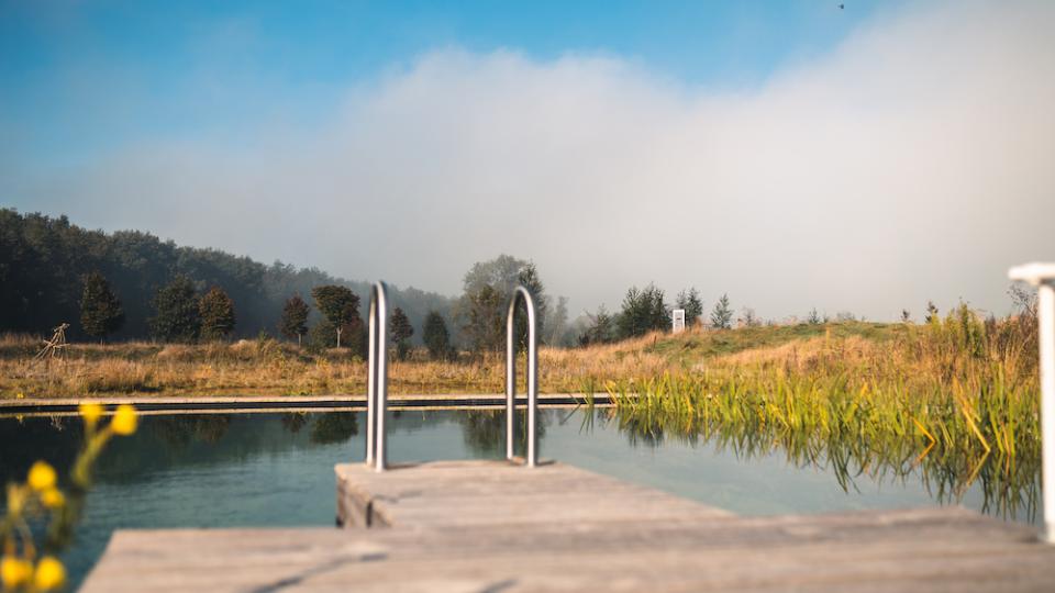 Zwemvijver droomtuin tuin REALISEER JE DROOMHUIS