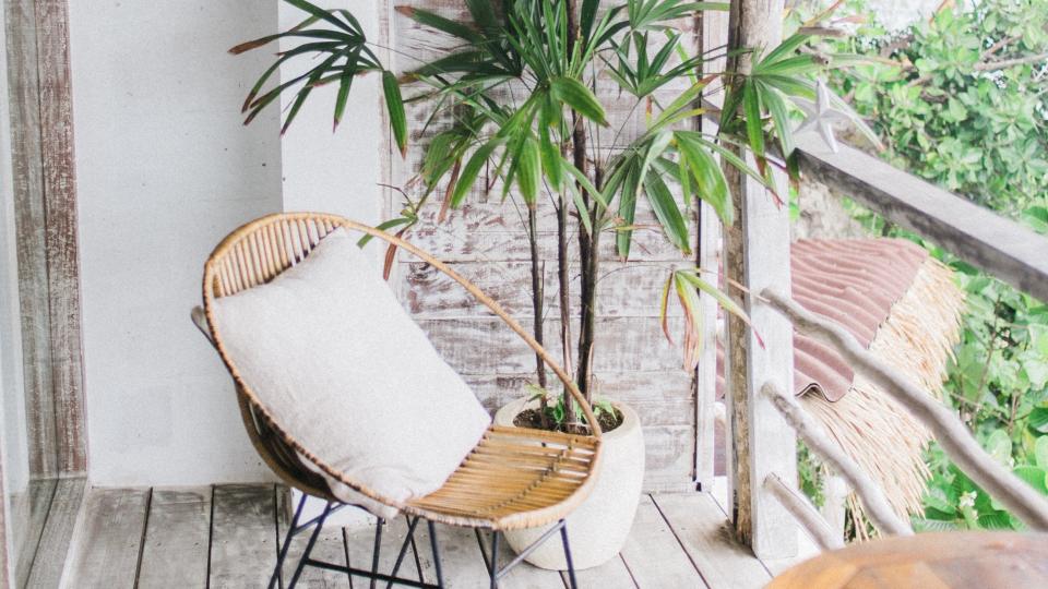 Tropische tuin tips REALISEER JE DROOMTUIN