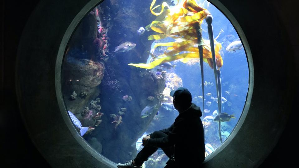 aquarium realiseer je droomhuis