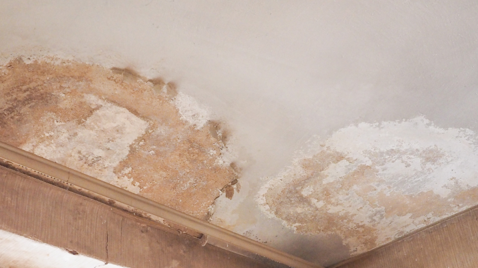 BLOG DB Online Marketing VJ26 - Vochtproblemen in huis