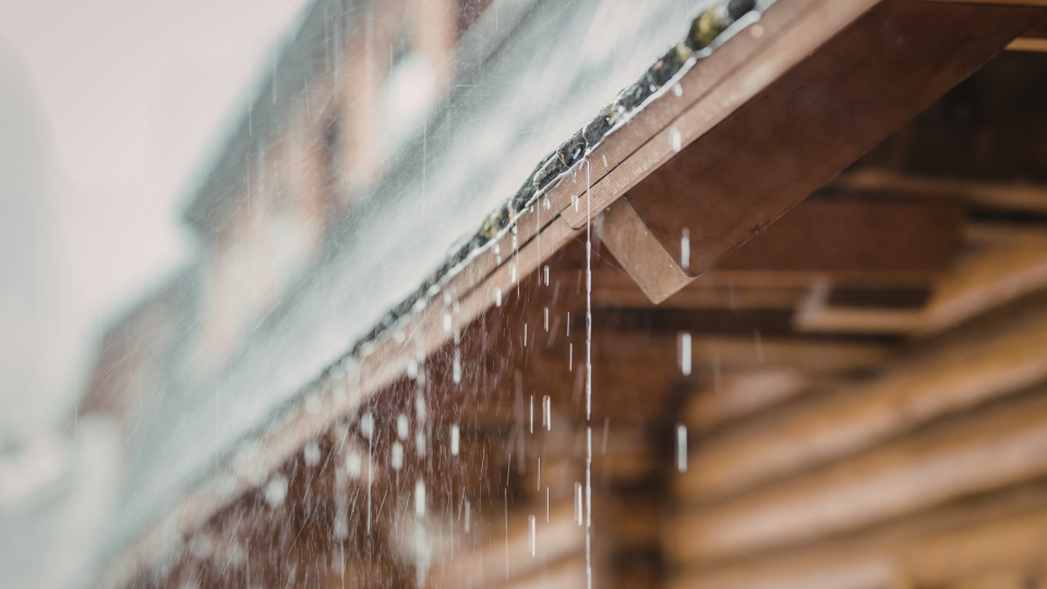 BLOG DB Online Marketing VJ26 - Regenwater rondom jouw woning