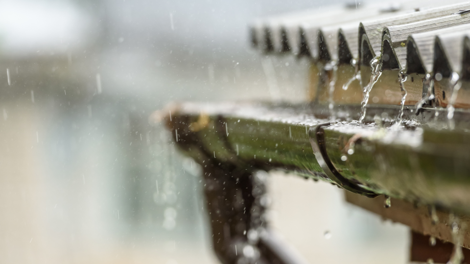 BLOG DB Online Marketing VJ26 - Regenwater infiltreren in de tuin