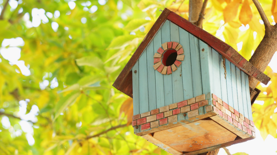 BLOG Twenty Four Webvertising NJ26 - Vogelhuisje voor jouw tuin